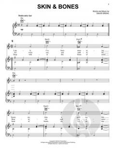 Skin & Bones von Foo Fighters 