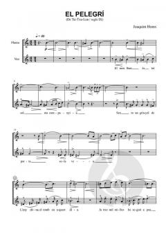 Antics poemes xinesos von Joaquim Homs 