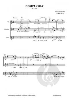Dos antics poemes xinesos von Joaquim Homs 