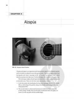Flamenco Guitar 