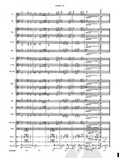 Lord of The Rings: The Fellowship of The Ring (Highlights) von Howard Shore (Download) 