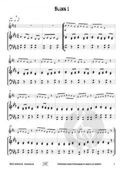 12 mal Blues von Josef Schlotter 