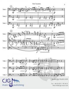 Tuba Toreadors von Joseph Pekas im Alle Noten Shop kaufen