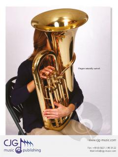 Making Music Matter 1 von Frank Ticheli 