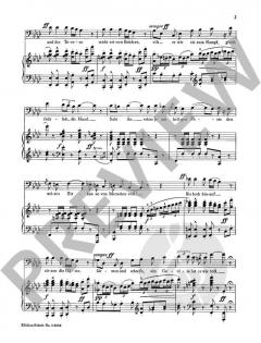 Auf in den Kampf, Torero! von Georges Bizet 