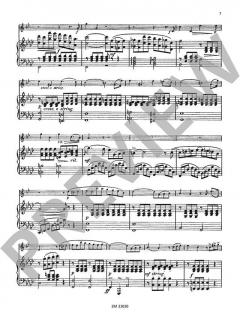 1. Konzertstück f-Moll op. 11, 2. Konzertstück Es-Dur op. 12 von Brandt für Trompete in B (Cornet à Pistons) und Klavier im Alle Noten Shop kaufen