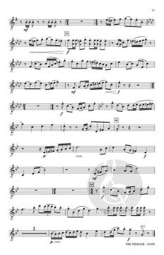 The Fiddler von Johannes Brahms (Download) 
