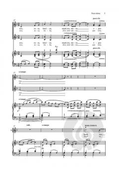 Susa ninna von Peter Louis van Dijk (Download) 