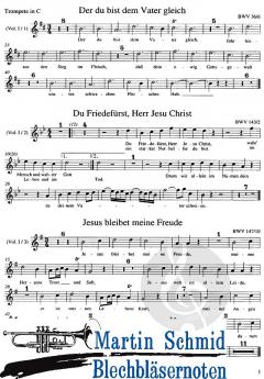 Choralbearbeitungen für obligates Instrument und Orgel von Johann Sebastian Bach 