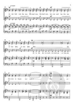 Die Schlittschuhläufer von Emil Waldteufel 