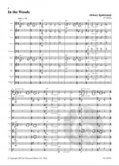 Strings of the World 2 von Aleksey Igudesman 