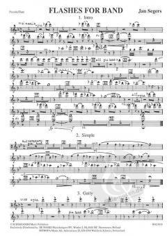 Flashes for Band von Jan Segers 