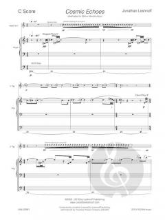 Cosmic Echoes von Jonathan Leshnoff 
