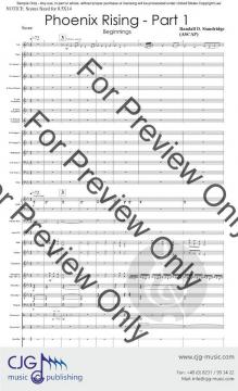 Beginnings von Randall D. Standridge 