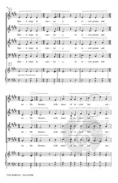 Vox Spiritus von Brad Nix (Download) 