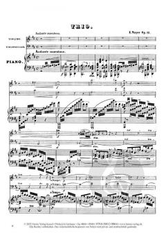 Großes Trio in D-Dur op. 13 von Emilie Mayer 