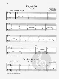 Open Strings 
