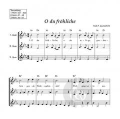 Weihnachtslieder für Horn von Franz Zaunschirm 