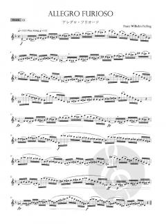 Selected Ferling Etudes von Franz Wilhelm Ferling 