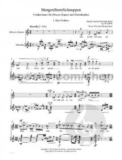MorgenSternSchnuppen op. 95  von Martin Christoph Redel 