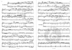 Brandeburg concerto n. 5 BWW 1050 