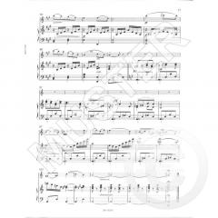 Sonate op. 24 