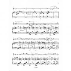 Winterreise von Franz Schubert 
