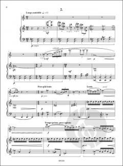 Chansons D'enfants von Guillaume Druel 