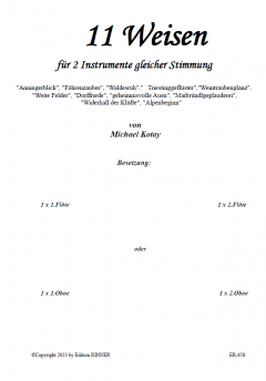 11 Weisen von Michael Kotay 