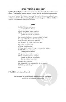 Splitting the Sunlight von Dominick DiOrio (Download) 