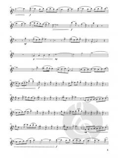 Violin Play-Along Vol. 82: Lindsey Stirling - Snow Waltz im Alle Noten Shop kaufen