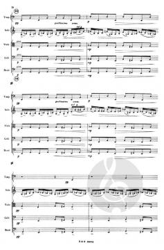 Violinkonzert Nr. 1 op. 19 von Sergei Sergejewitsch Prokofjew 