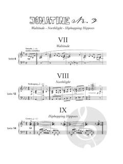 Jonatinen Nr. 3 & 4 Band 2 von Nils Mille 