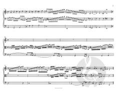 Sonata BuxWV Anh. 5 von Dietrich Buxtehude 