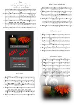 Ade! Die schönsten Lieder zum Abschied 