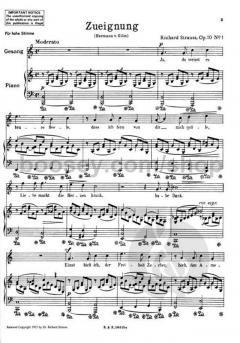 Lieder Band 1 von Richard Strauss 