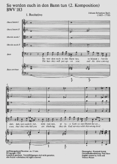 Sie werden euch in den Bann tun (II) (J.S. Bach) 