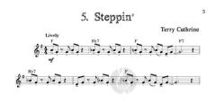 Easy Blues Tunes von Terry Cathrine (Download) 