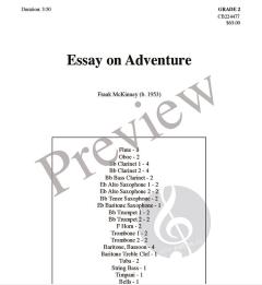 Essay on Adventure 
