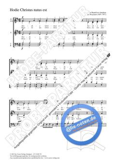 Hodie Christus natus est D-Dur (Johannes Weyrauch) 