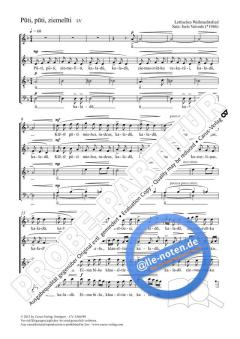 Puti, puti, ziemeliti von Juris Vaivods (Download) 