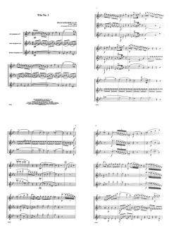Trio No. 1, D.471 von Franz Schubert 