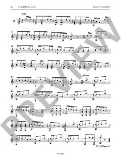 The Complete Works for Solo Guitar von Niccolò Paganini 