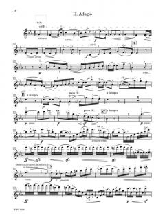 Violin Concerto G-minor op. 26 von Max Bruch im Alle Noten Shop kaufen