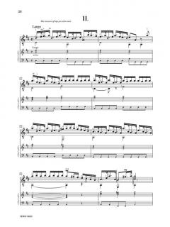Two Concerti For Guitar (Lute) & Orchestra von Antonio Vivaldi 