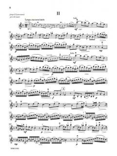 Double Concerto in D minor BWV 1043 von Johann Sebastian Bach 