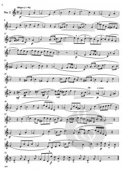 Melodious Etudes for Trumpet von Marco Bordogni im Alle Noten Shop kaufen