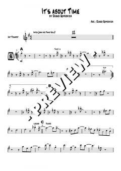 It's About Time - DOWNLOAD von Dusko Goykovic (Download) 