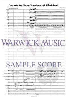 Concerto von Derek Bourgeois 