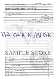 Concerto von Edward McGuire 